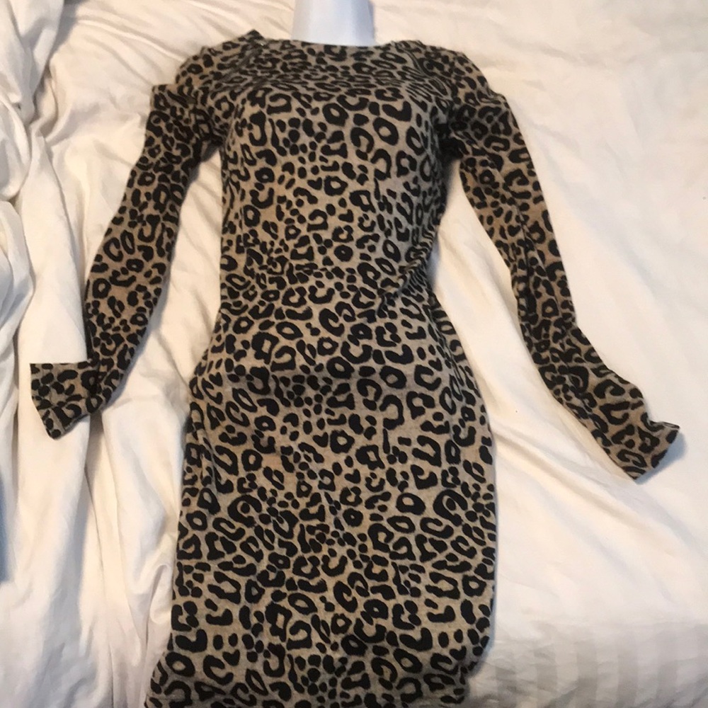 Small Fall style leopard print dress